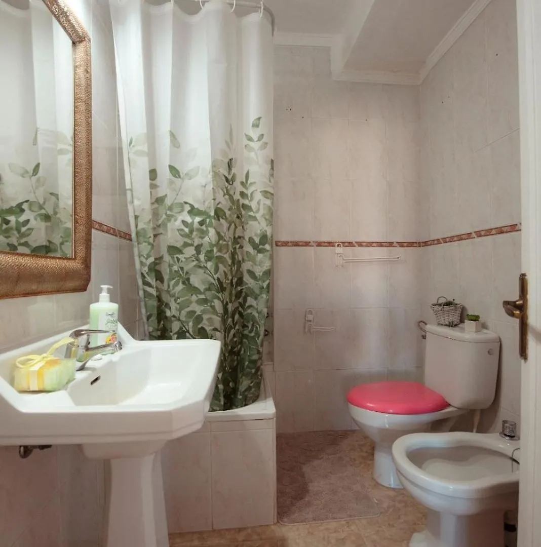Centric Room In A Cozy Apartment Malaga Homestay